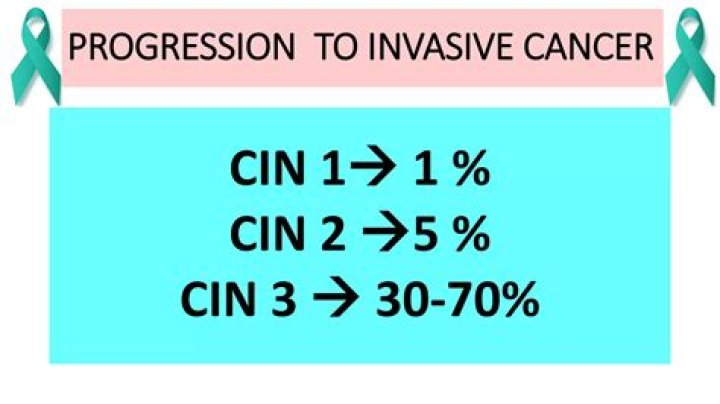 How long does it take for CIN 2 to progress to CIN 3?