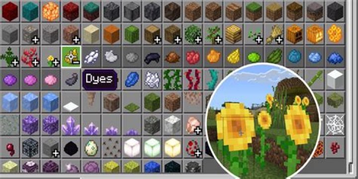 How many Minecraft dyes are there?