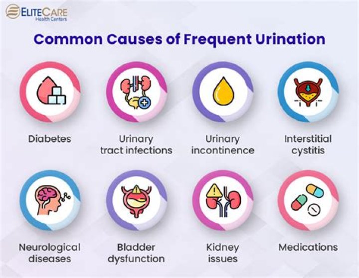 How many times is too frequent urination?