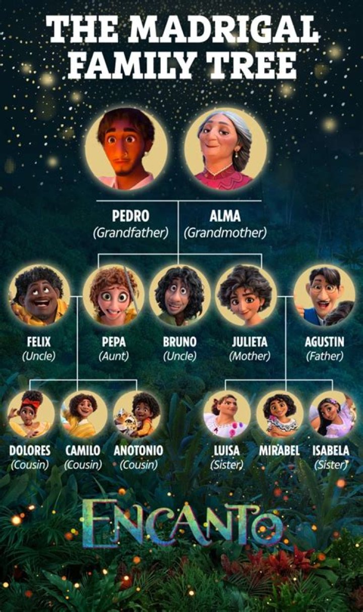 How many years was Bruno gone in Encanto?