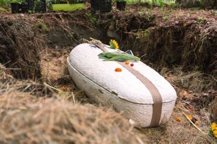 How much is a mushroom coffin?