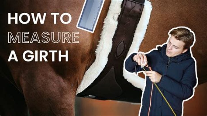 How Thick is Girthmaster? Everything You Need to Know