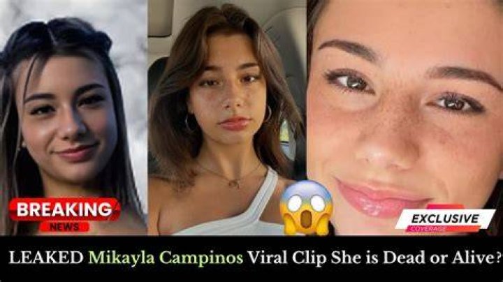 How to Find Mikayla Campinos Leaks: A Comprehensive Guide - The Daily