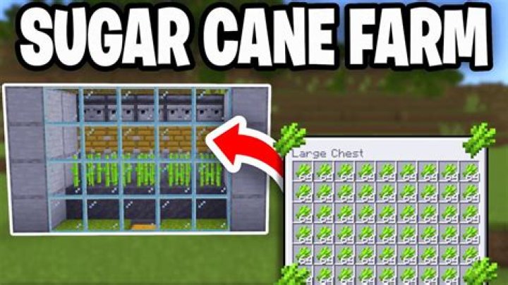 How to Easily Plant Sugar Cane in Minecraft: A Beginner's Guide