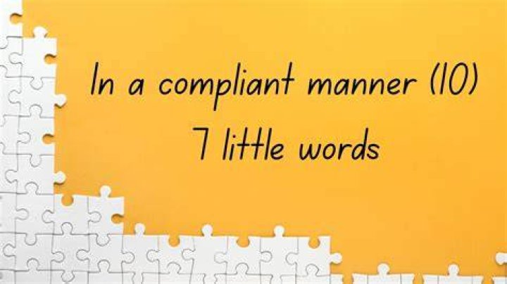 In an underhanded manner 7 Little Words With 11 letters