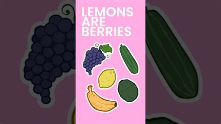 Is a Lemon a berry?