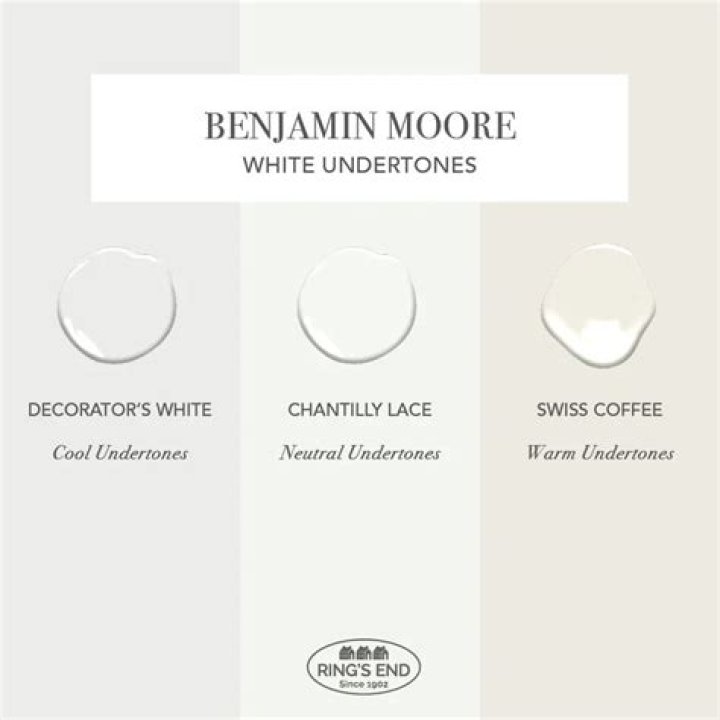 Is decorators white too white?
