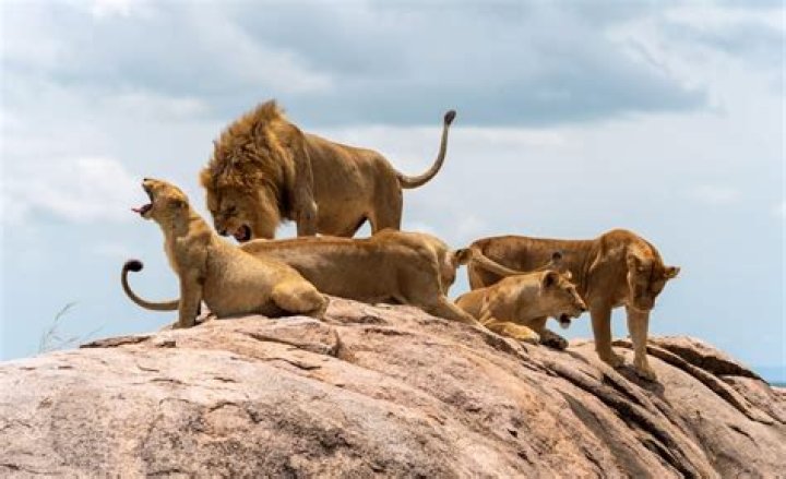 Is it better to be humble or prideful?