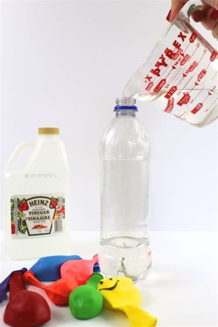 Is it good to put vinegar in dog's water?