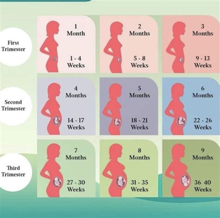 Is it OK to tell family at 4 weeks?