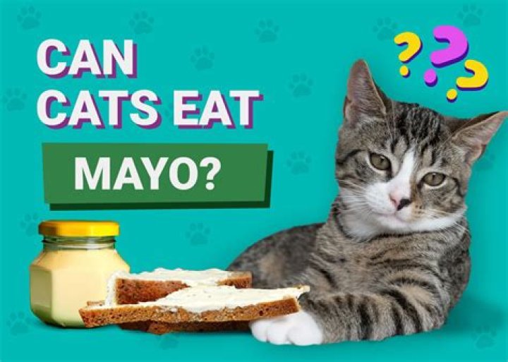Is mayonnaise toxic to cats?
