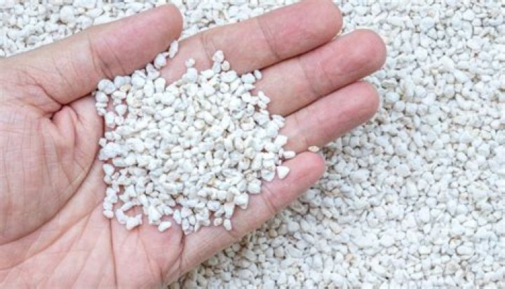 Is perlite toxic to humans?