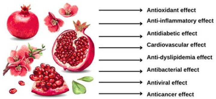 Is pomegranate good for liver and kidney?