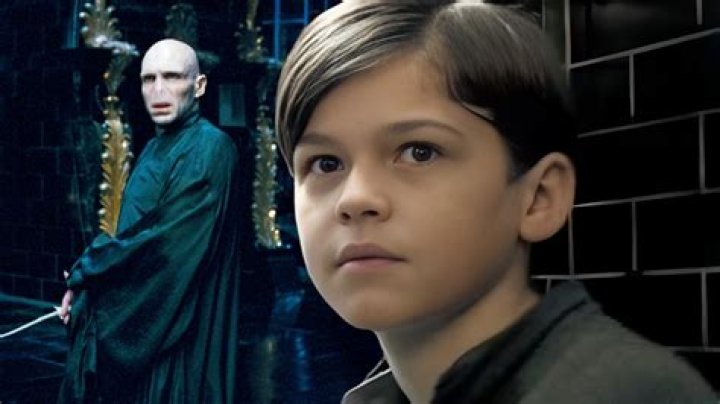 Is Tom Riddle a half-blood?