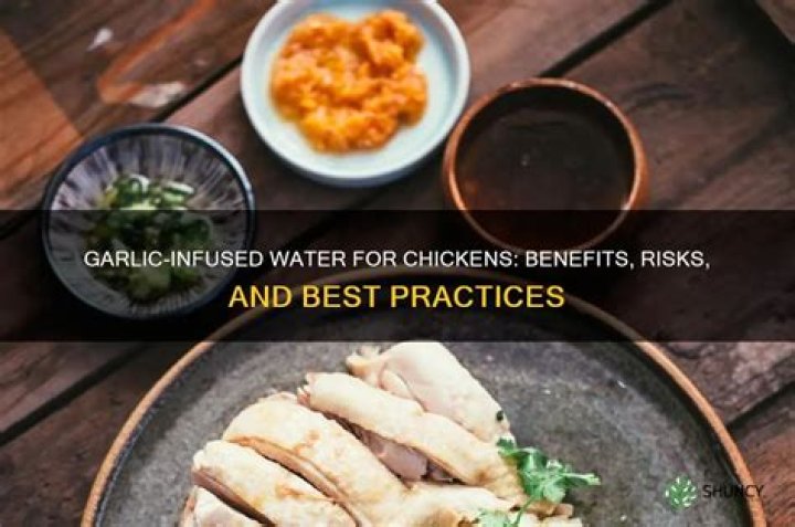 Is water mixed with garlic good for chickens?