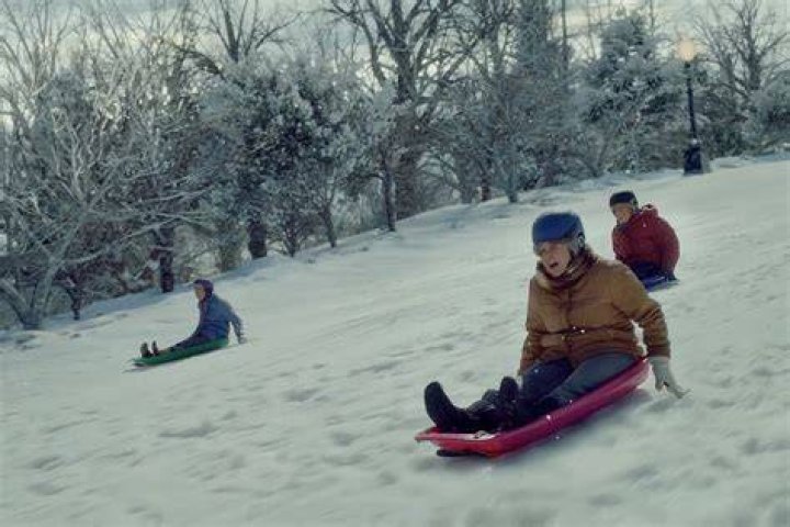 It can glide down a snowy hill