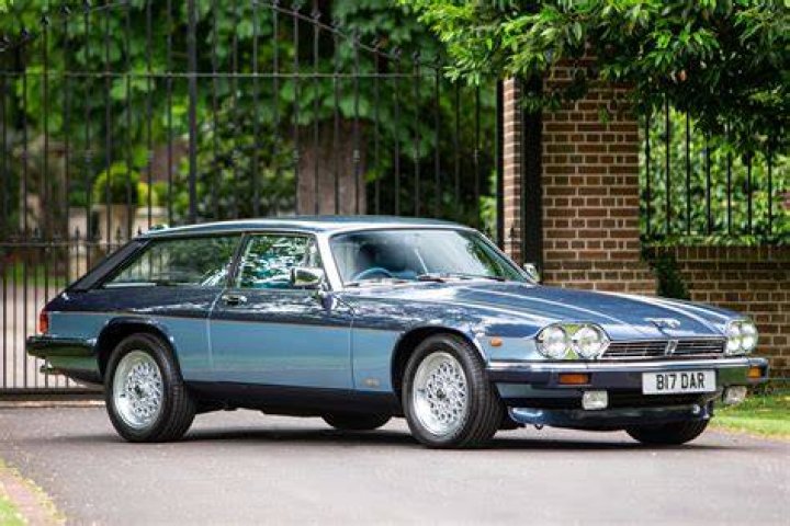 Jaguar or lynx