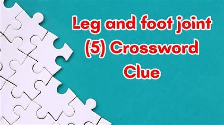 Joint connecting the foot and leg Crossword Clue 5 letters Answer