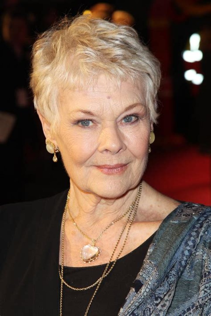 Judy Dench Photos: A Comprehensive Look at the Iconic Actress's Most Memorable Moments