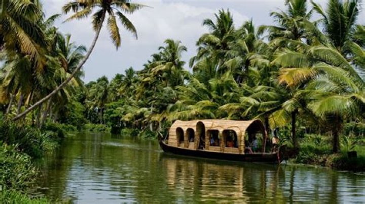 Kerala Y Video: A Comprehensive Guide to Understanding Its Significance