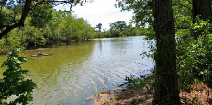 Kickerillo Mischer Preserve: A Comprehensive Guide to Its Rich Heritage and Cultural Impact