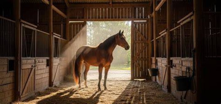 LA Times Horse barn sound Crossword Clue 5 letters Answer - News