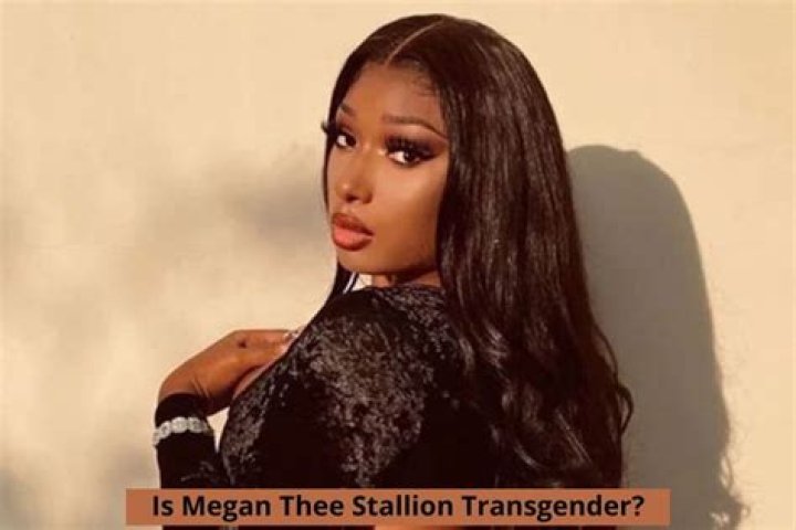 Megan Thee Stallion: Debunking the Transgender Myth and Understanding Her Impact