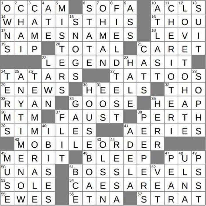 Misfortunes or troubles say Crossword Clue Daily Themed Crossword - News
