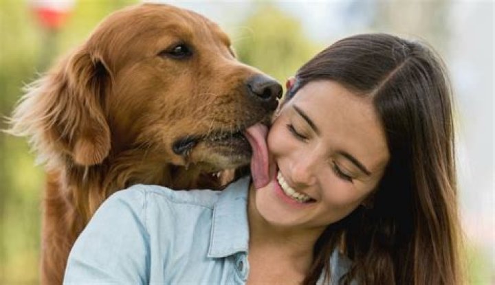 Women with Dogs: A Heartwarming Connection That Strengthens Bonds