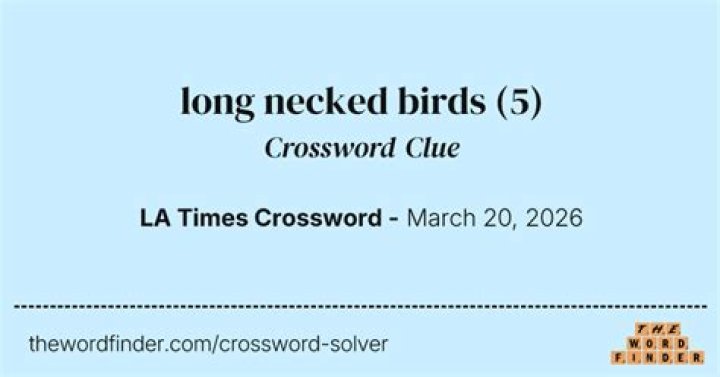 Newsday Graceful long-necked birds Crossword Clue Answer