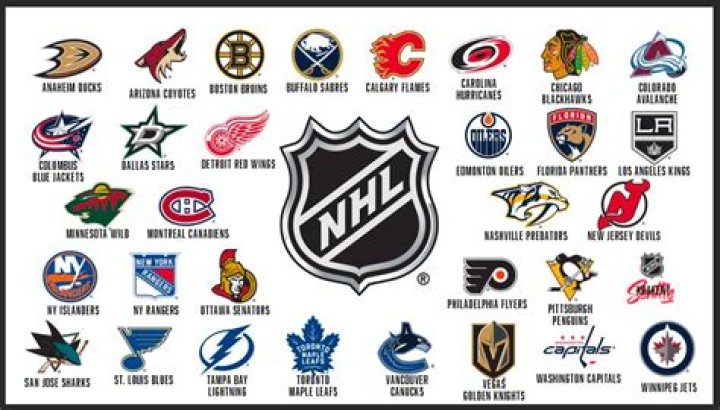 N.H.L. team from Ohio ... or a description of 93-Across? NYT Crossword Clue - News
