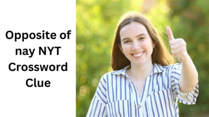 Opposite of bust NYT Crossword Clue Answer 4 letters - News
