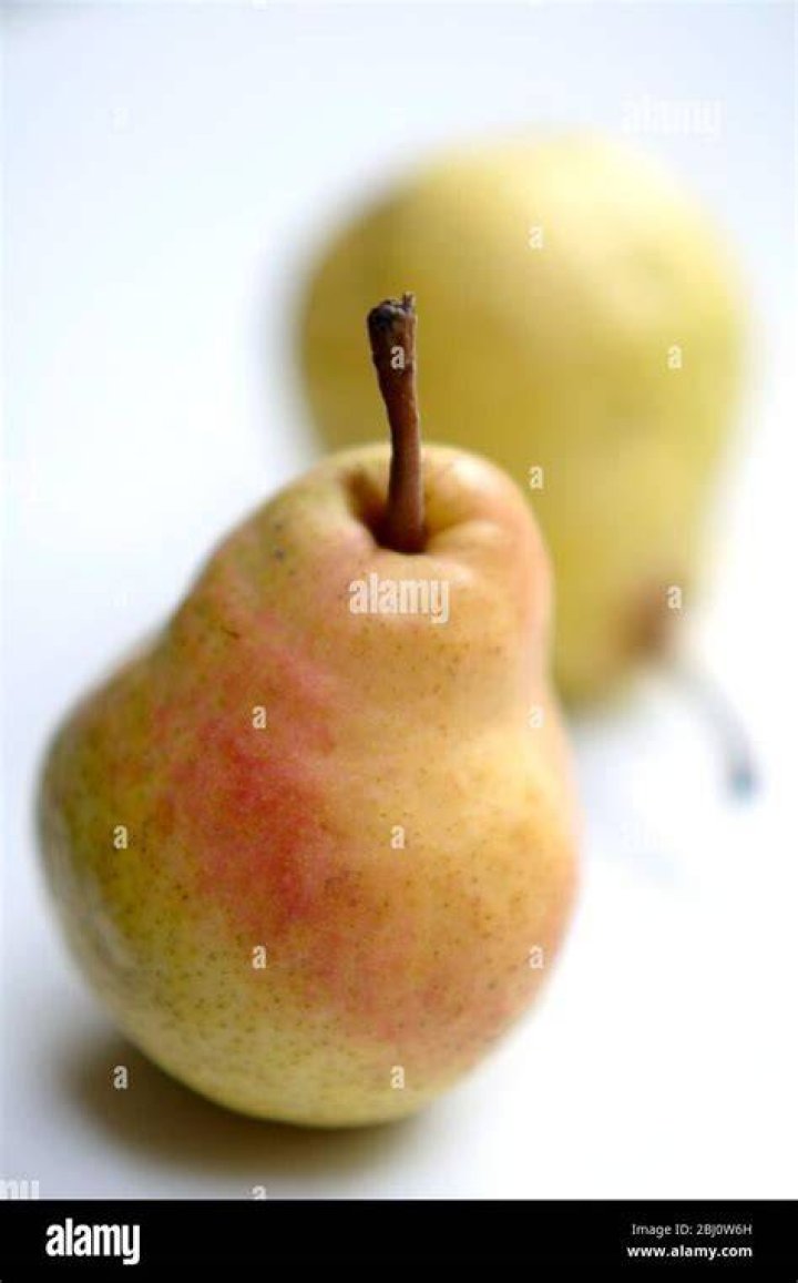 Pears originally from Europe NYT Crossword Clue Find Puzzle Answer Here - News