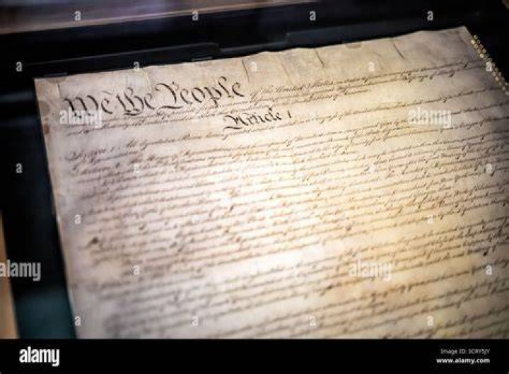 Person who helps write a document such as a national constitution