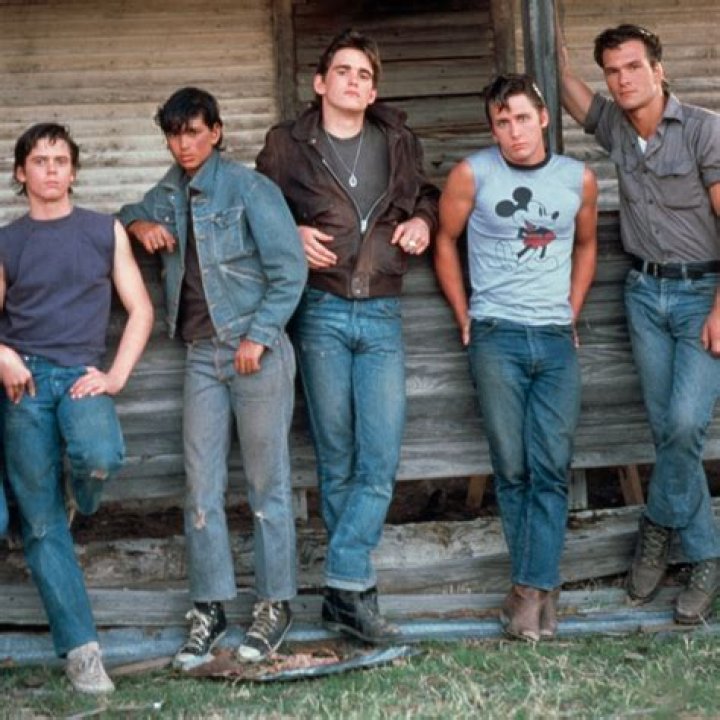 The Outsiders: Ponyboy's Pivotal Role