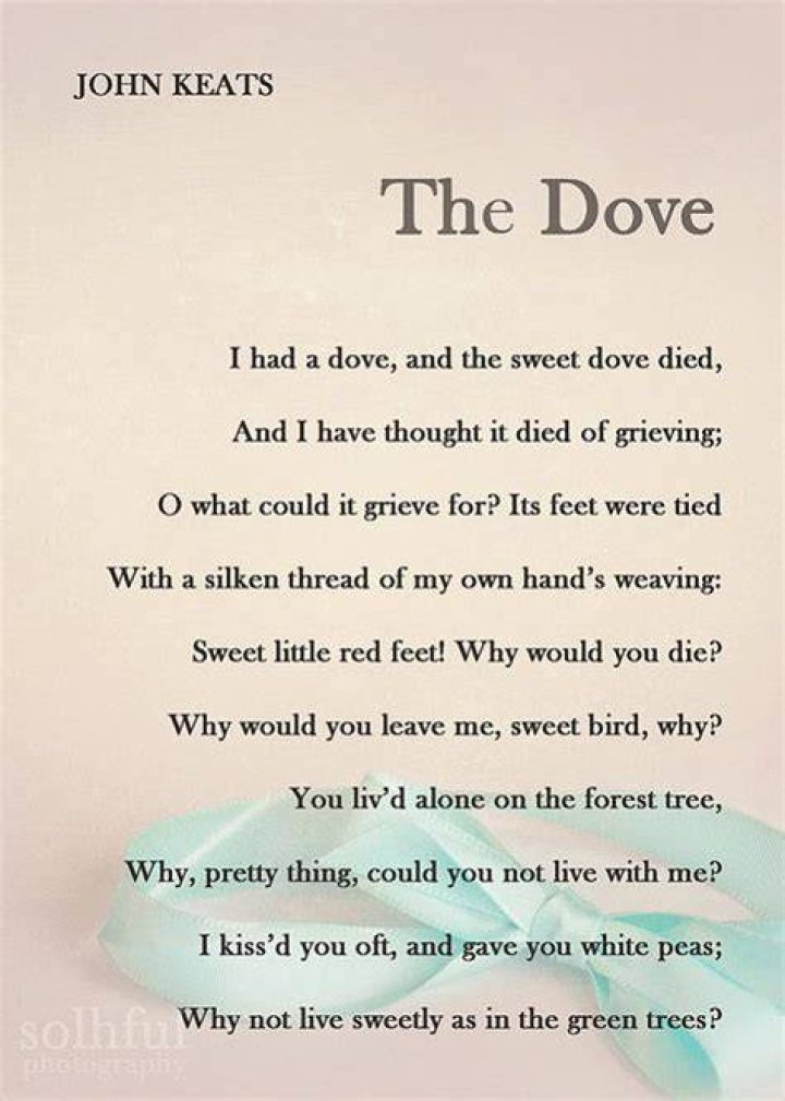 Praiseful poem by John Keats for example