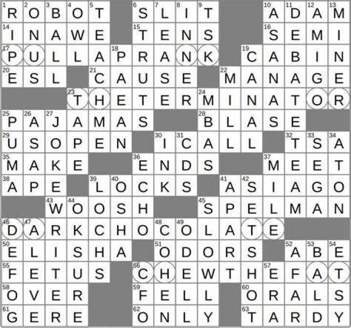 Pupil’s place, in the eye Crossword Clue Daily Themed Answer With 4 letters