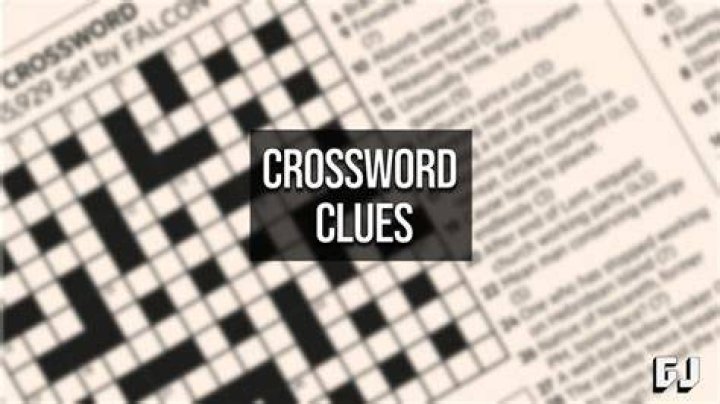 Puts a stop to Crossword Clue
