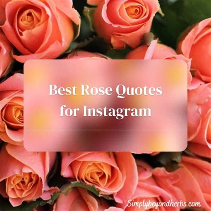 Quotes with Roses Tattoos: A Symbol of Beauty, Love, and Strength