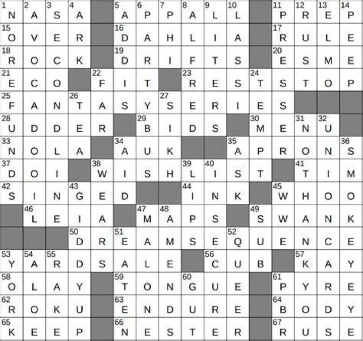 Rubberneck NYT Crossword Clue, Find Rubberneck Crossword NYT Answer - News