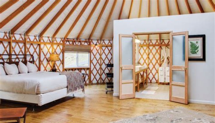 Savage River Lodge: A Hidden Gem in Tasmania's Wilderness