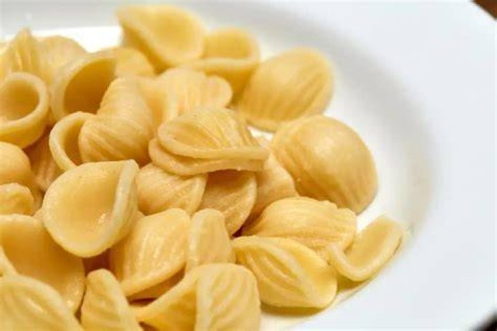 Shape of orecchiette pasta Crossword Clue LA Times - News