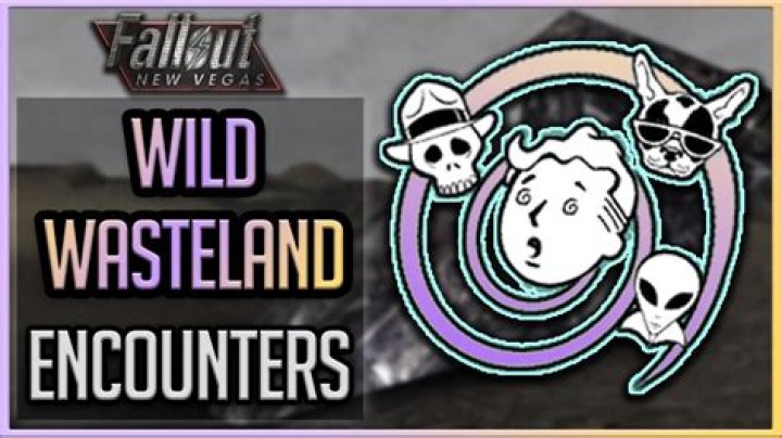 Should I do wild wasteland?