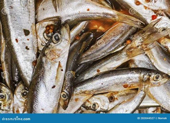 Small herring Thomas Joseph 5 letters Crossword Puzzle Clue - News