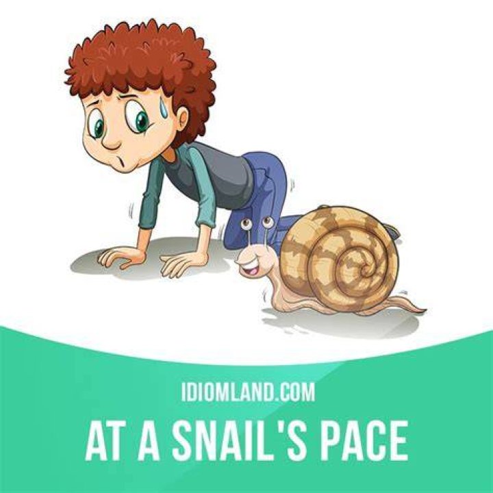 ___ snail's pace (very slowly): 2 wds.