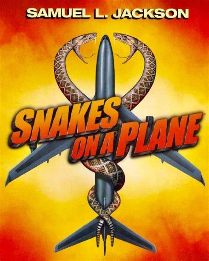 Snakes ___ Plane (2006 movie): 2 wds.