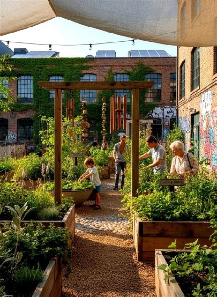 Spot for an urban garden sometimes