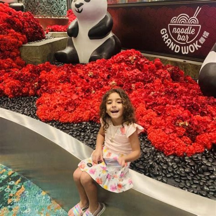 St. Louis Bubbleheads: A Deep Dive into the Iconic Local Sensation