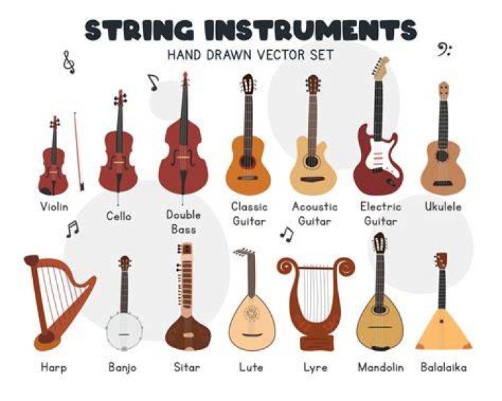 Stringed instrument that's popular in Hawaii