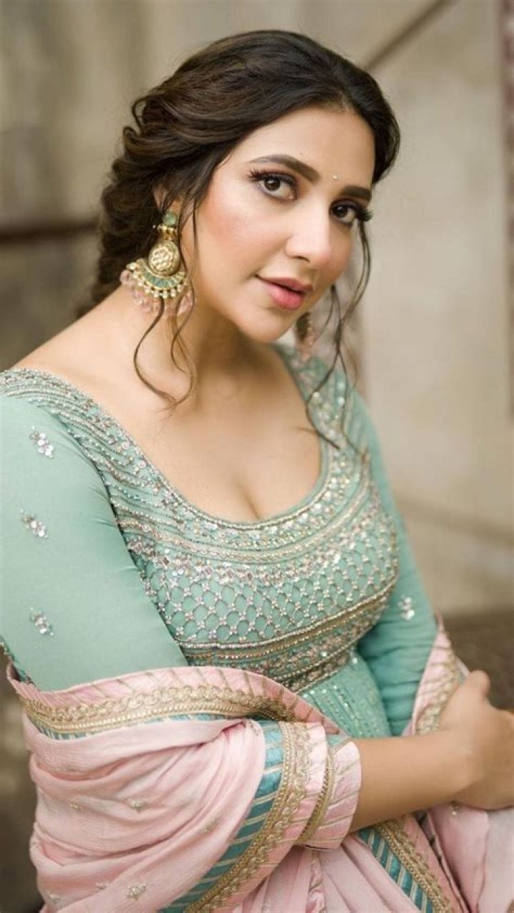 Subhashree Videos: A Rising Star in the Digital Entertainment World